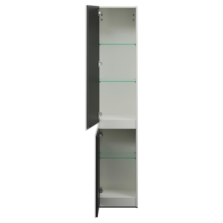 Burgbad Lin20 Hochschrank (HSPJ040) PG2 Acrylfront/Mehrfachlackierung Matt