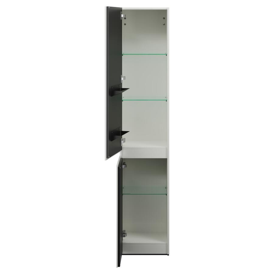 Burgbad Lin20 Hochschrank (HSPL040) PG2 Acrylfront/Mehrfachlackierung Matt