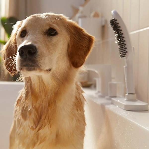HG Hundeduschbrause 150 3jet DogShower mattweiss