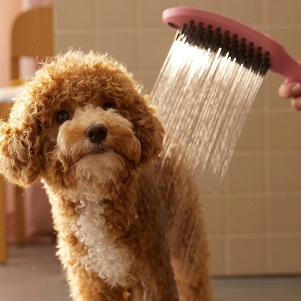 HG Hundeduschbrause 150 3jet DogShower pink