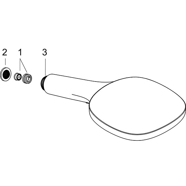 Hansgrohe Handbrause Raindance Select E 120 EcoSmart chrom