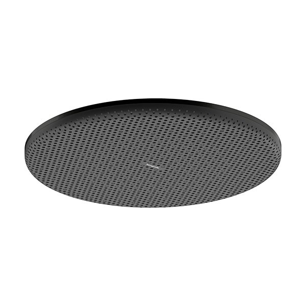 Hansgrohe Kopfbrause Raindance Alive S  300 1jet EcoSmart BBC