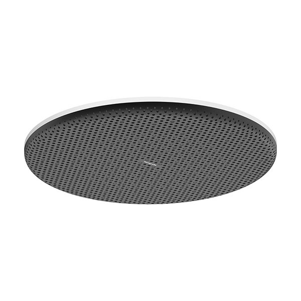 Hansgrohe Kopfbrause Raindance Alive S  300 1jet MW