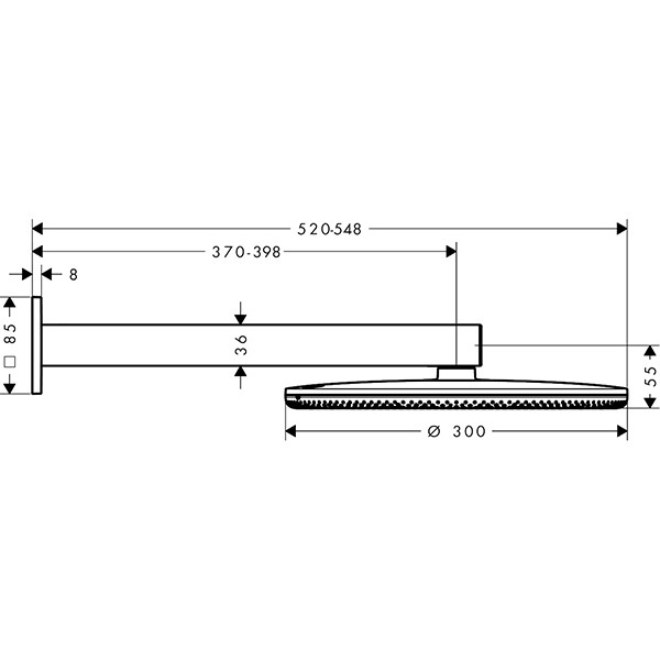 Hansgrohe Kopfbrause Raindance Alive S  300 2jet mit Brausearm chrom