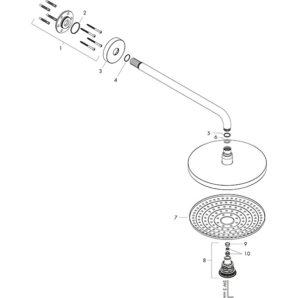 Hansgrohe Kopfbrause Raindance Select S 240 2jet EcoSmart Brausearm 390mm weiss/chr.