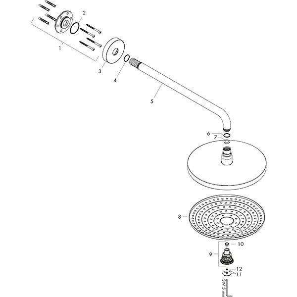 Hansgrohe Kopfbrause Raindance Select S 300 2jet 300mm mit Brausearm 390mm chrom
