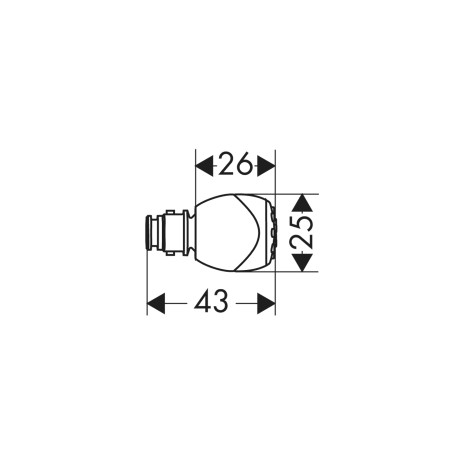 Hansgrohe Wechsel-Strahleinsatz Normal chrom 