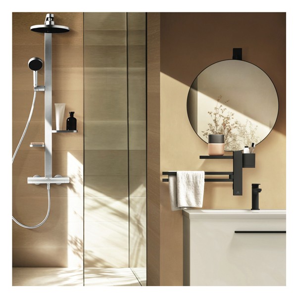 IS Beauty Bar Accessoires-Kombi. Alu+ L800 mit Spiegel d:500mm Rose