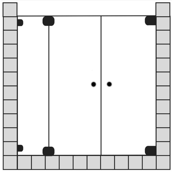 Sprinz Nexa Pendeltüren nach außen öffnend, Nische, 1000x 2000 mm