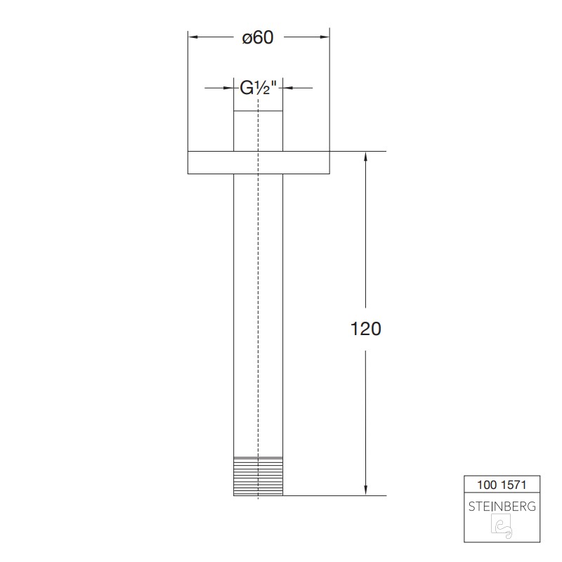 Steinberg Serie 100 Brausearm für Deckenmontage, Länge: 120 mm, chrom