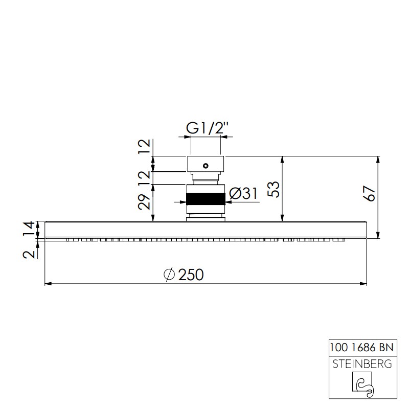 Steinberg Serie 100 "Rain Shower" Regenbrause Ø 250 mm X 8 mm, nickel gebürstet
