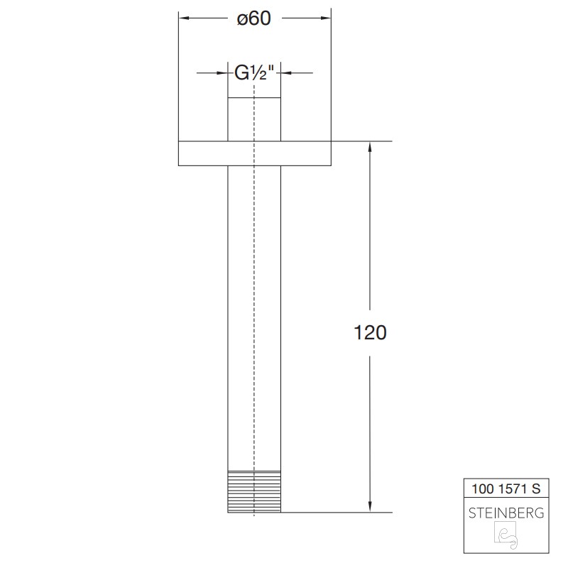 Steinberg Serie 100 S Brausearm für Deckenmontage, Länge: 120 mm, matt schwarz