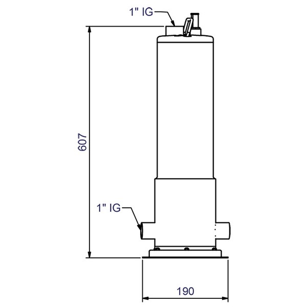 Rainsub 60M 230 V Unterwassermotorpumpe geeignet für schwimmende Entnahme