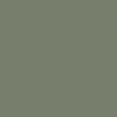 Schilfgrün Matt Touch - K161 Schilfgrün Matt Touch - K161