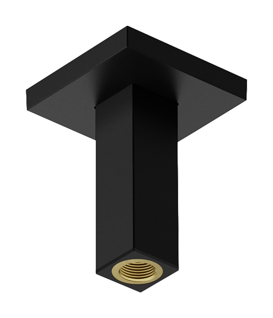 Hansgrohe Deckenanschluss E 10 cm Mattschwarz