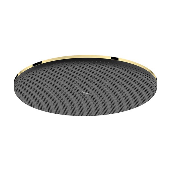 Hansgrohe Kopfbrause Raindance Alive S  300 1jet PGO