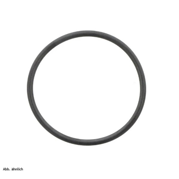 HG O-Ring 20x1,5mm  
