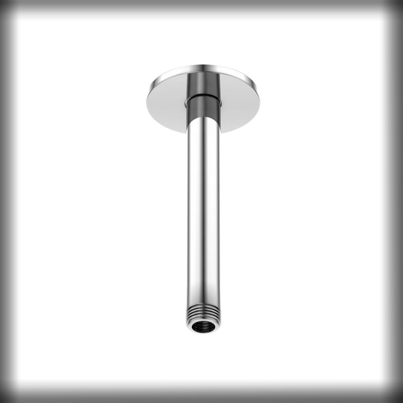 Steinberg Serie 100 Brausearm für Deckenmontage, Länge: 120 mm, chrom