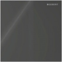 Geberit Typ 40 UR-Strg. m. elektron. Sp-Ausl. Netz.-Betr., Square, Glas sort