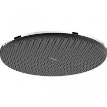 Hansgrohe Kopfbrause Raindance Alive S  300 1jet chrom