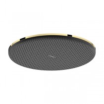 Hansgrohe Kopfbrause Raindance Alive S  300 1jet PGO