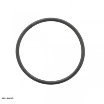 Hansgrohe O-Ring 20x1,5mm  