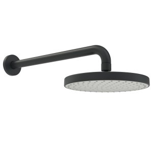 HA Kopfbrause HANSABASICJET 4436 1-strahlig d 200 mm L=348 Matt-Schwarz