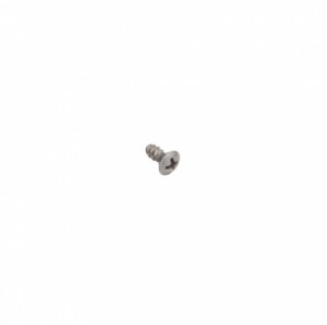 Hansgrohe Blechschraube BZ 2,9x6,5mm  