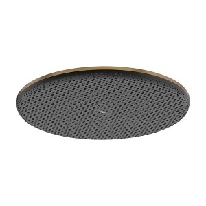 Hansgrohe Kopfbrause Raindance Alive S  300 1jet EcoSmart BBR