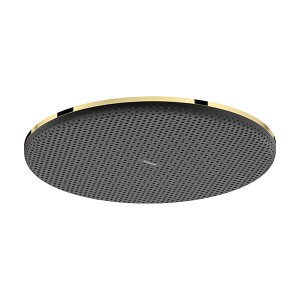 Hansgrohe Kopfbrause Raindance Alive S  300 1jet PGO