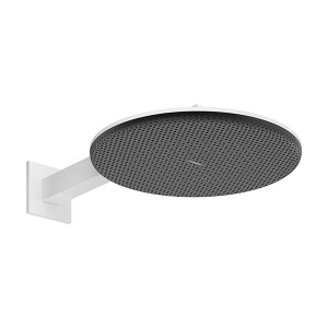Hansgrohe Kopfbrause Raindance Alive S  300 2jet EcoSmart mit Brausearm MW