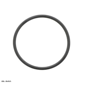 Hansgrohe O-Ring 20x1,5mm  
