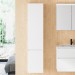Burgbad Lin20 Hochschrank (HSPG040) PG3 Mehrfachlackierung HGL