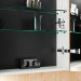 Burgbad Lin20 Spiegelschrank 100 (SPQL100) PG2 Acrylfront/Mehrfachlackierung Matt