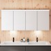 Burgbad Lin20 Spiegelschrank 160 (SPQL160) PG2 Acrylfront/Mehrfachlackierung Matt