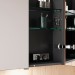 Burgbad Lin20 Spiegelschrank 60 (SPQL060) PG2 Acrylfront/Mehrfachlackierung Matt