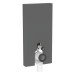 GE Monolith Sanitärmodul für Stand-WC 101cm, Glas schwarz /schwarz Alu. gebü.