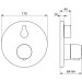 HA Funktionseinheit mit Dekorset Therm.- Brause-Batterie, Hansaliving 8113, chrom