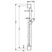 Hansgrohe Brausenstange Unica'C 900mm chrom mit Isiflex B 1600mm