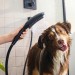 HG Hundeduschbrause 150 3jet DogShower mattschwarz