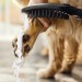 HG Hundeduschbrause 150 3jet DogShower mattschwarz