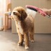HG Hundeduschbrause 150 3jet DogShower pink