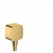 Hansgrohe FixFit Wandanschluss mit Rückflussverhinderer Polished Gold Optic