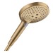 HG Handbrause Raindance Select S 120 EcoSmart BBR