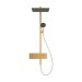 Hansgrohe Showerpipe Raindance Alive Q  210/340 1jet mit Thermostat BBR