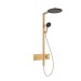 Hansgrohe Showerpipe Raindance Alive S  300 1jet mit Thermostat BBR