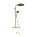 Hansgrohe Showerpipe Raindance Alive S Puro  300 1jet mit Ecostat Element BBR