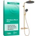Hansgrohe Showerpipe Raindance Alive S Puro  300 1jet mit Ecostat Element BBR