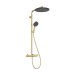 Hansgrohe Showerpipe Raindance Alive S Puro  300 1jet mit Ecostat Element PGO