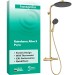 Hansgrohe Showerpipe Raindance Alive S Puro  300 1jet mit Ecostat Element PGO